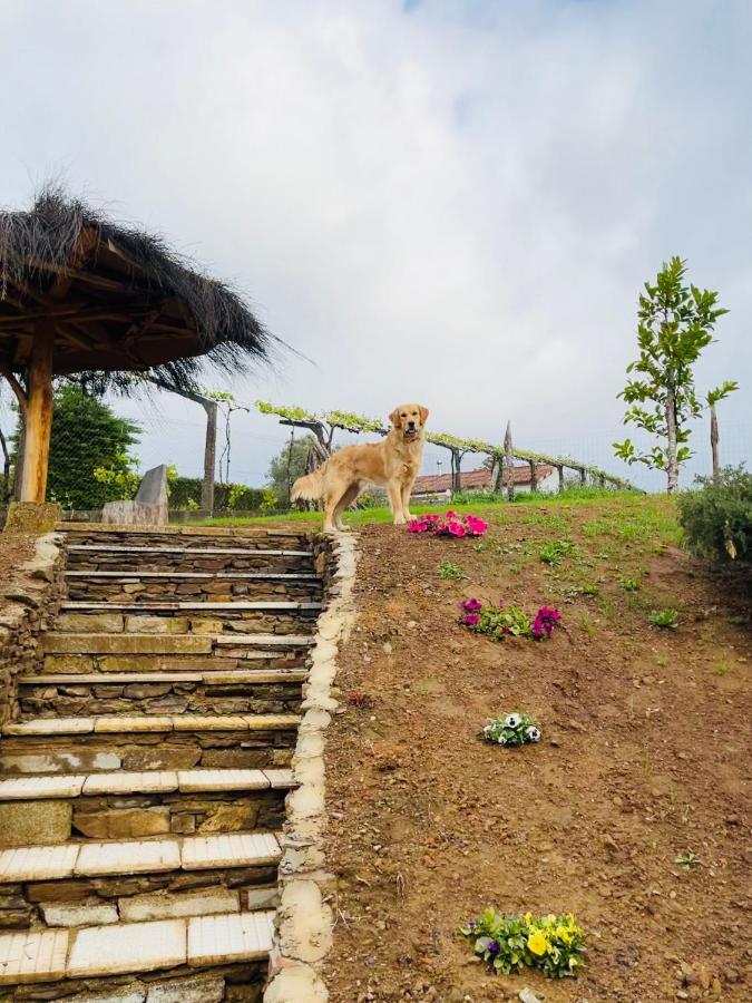 아 코루냐 Casa De Piedra Barreirina 빌라 외부 사진